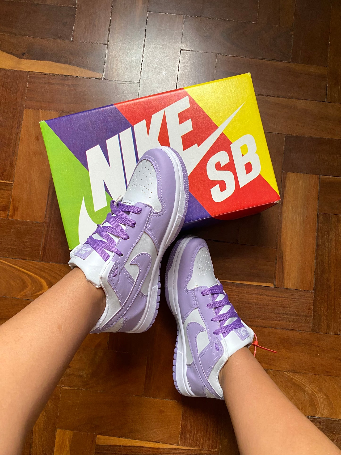 Nike Dunk Low Pro SB