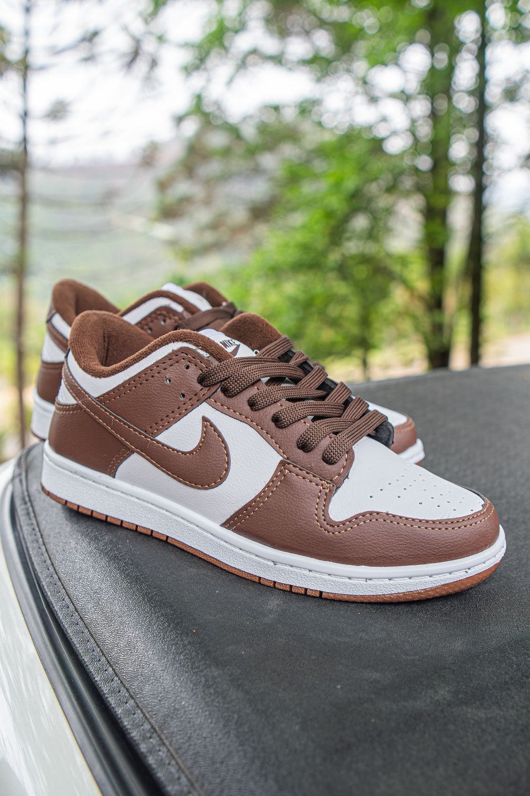 Nike Dunk Low Pro SB